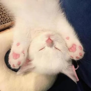 Ảnh đại diện người dùng Hùng